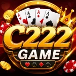C222 Game