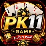 PK11 Game