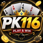 PK116 game