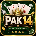 PAK14 Game