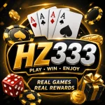 HZ333 Game